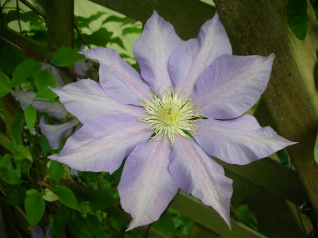 DSCN5289.JPG