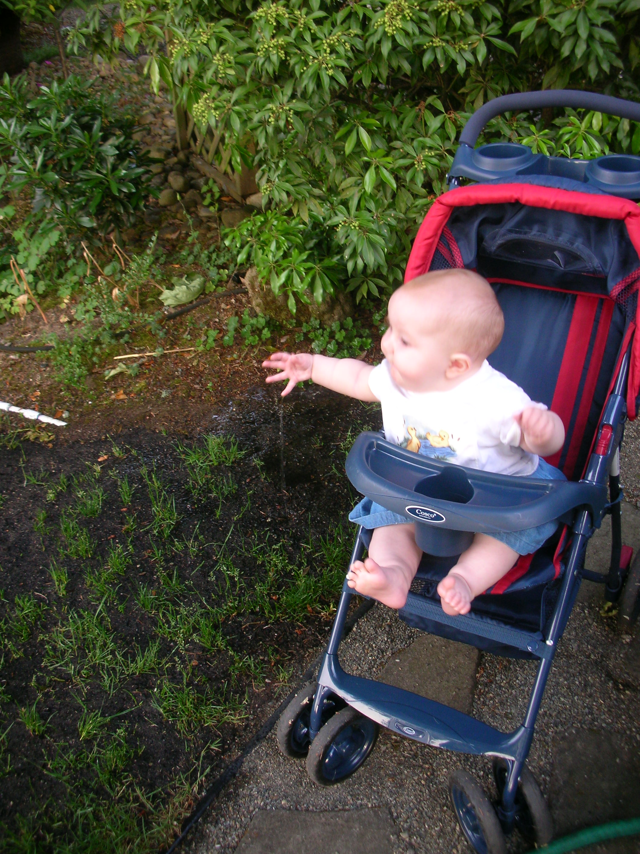 DSCN5292.JPG