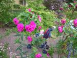 DSCN5297.JPG
