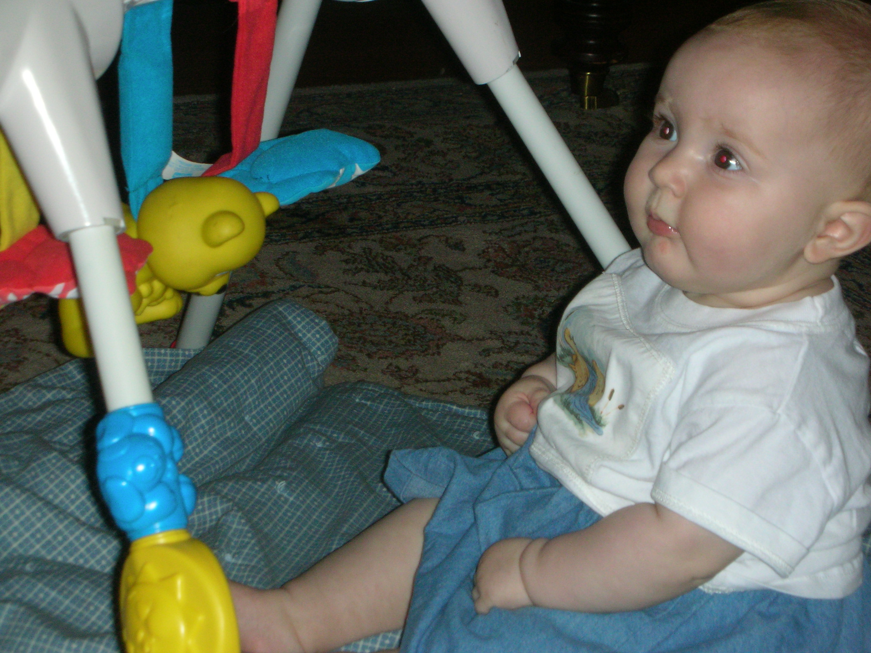 DSCN5317.JPG