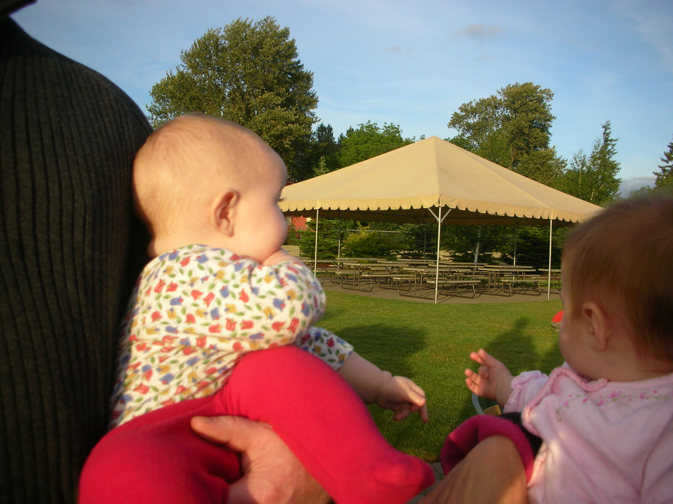 DSCN5408.JPG