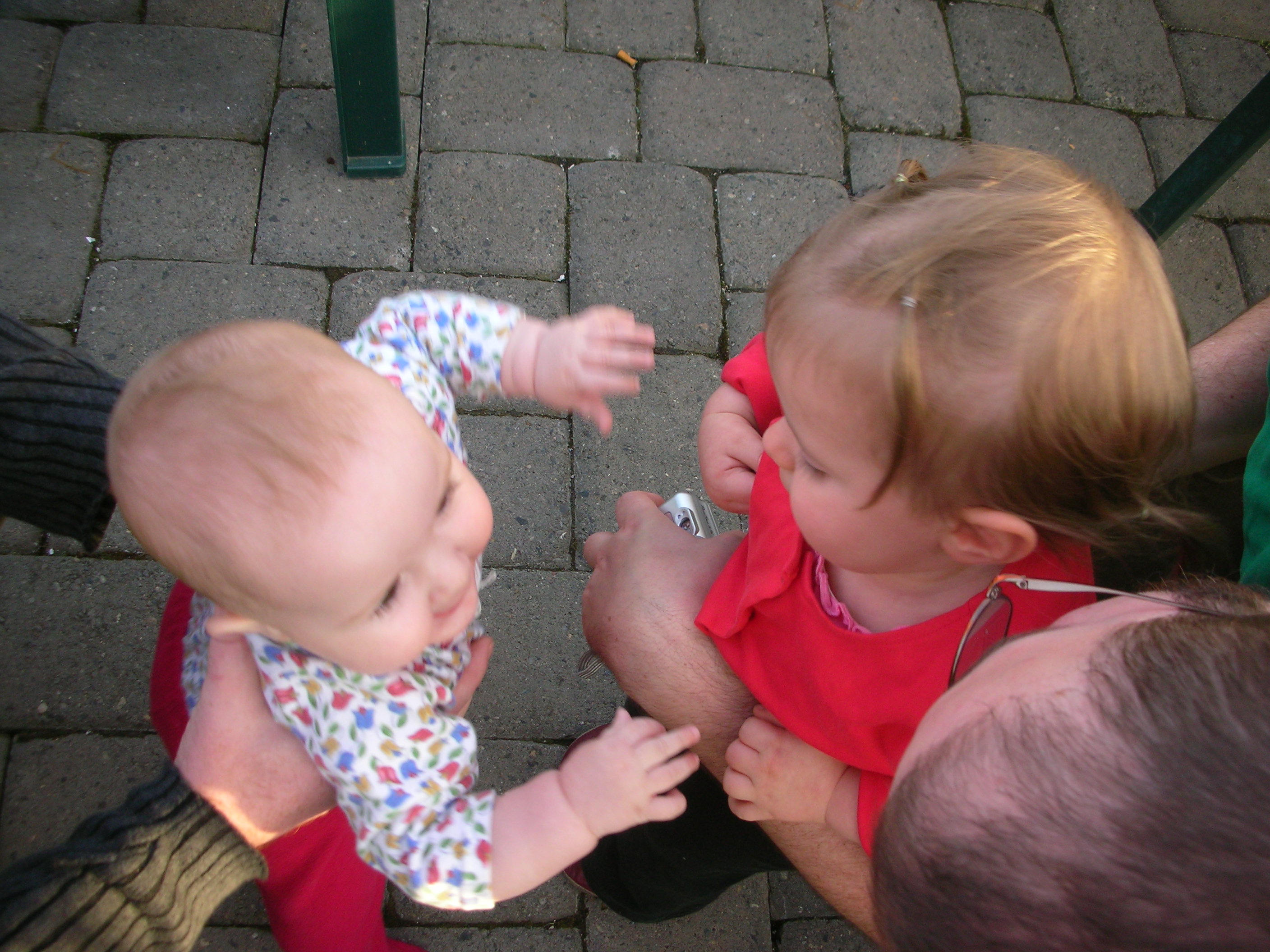 DSCN5417.JPG