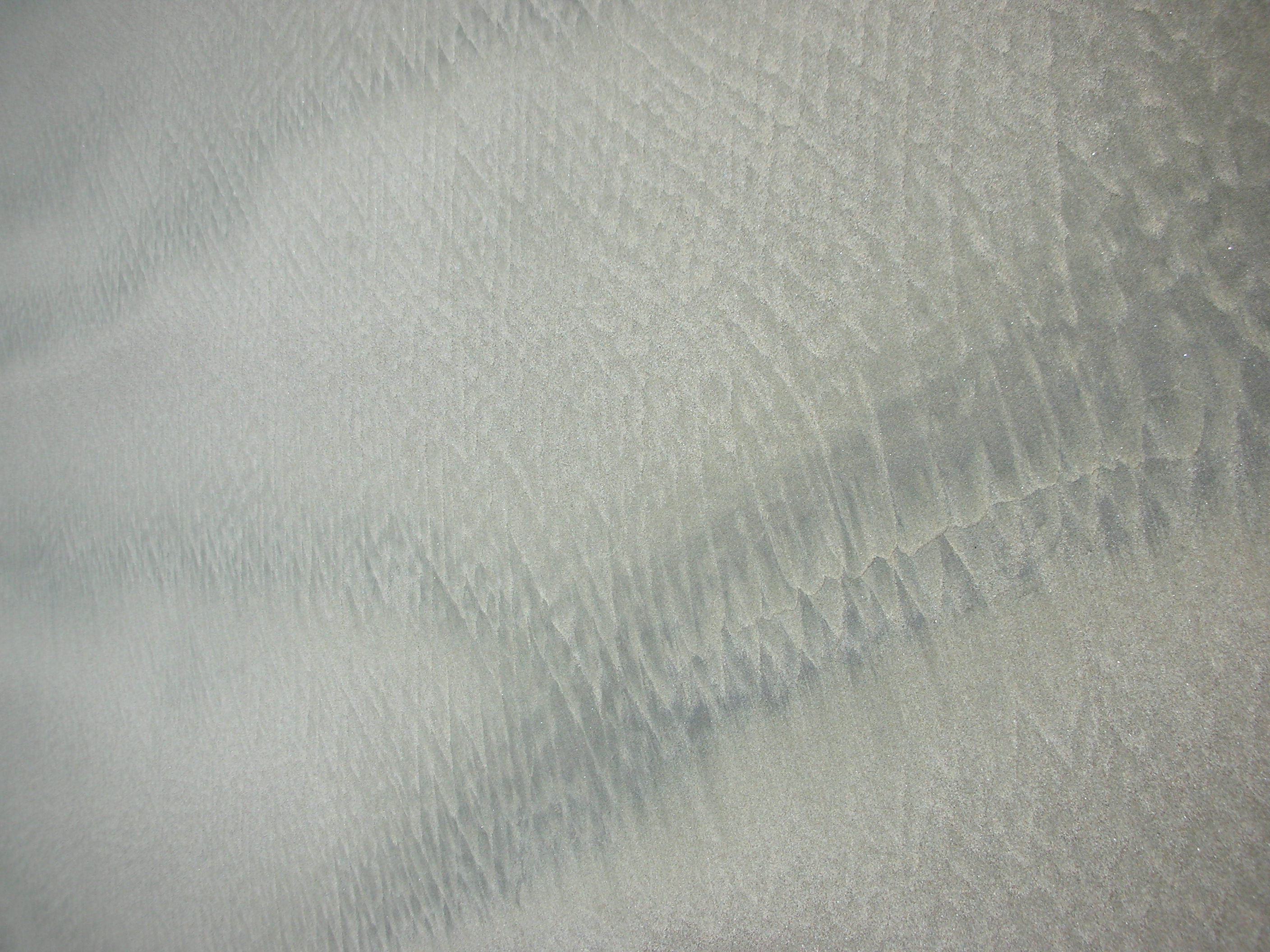 DSCN5645.JPG