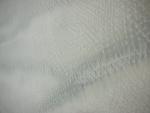 DSCN5645.JPG