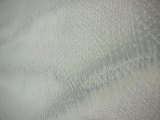 DSCN5645.JPG