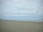 DSCN5646.JPG