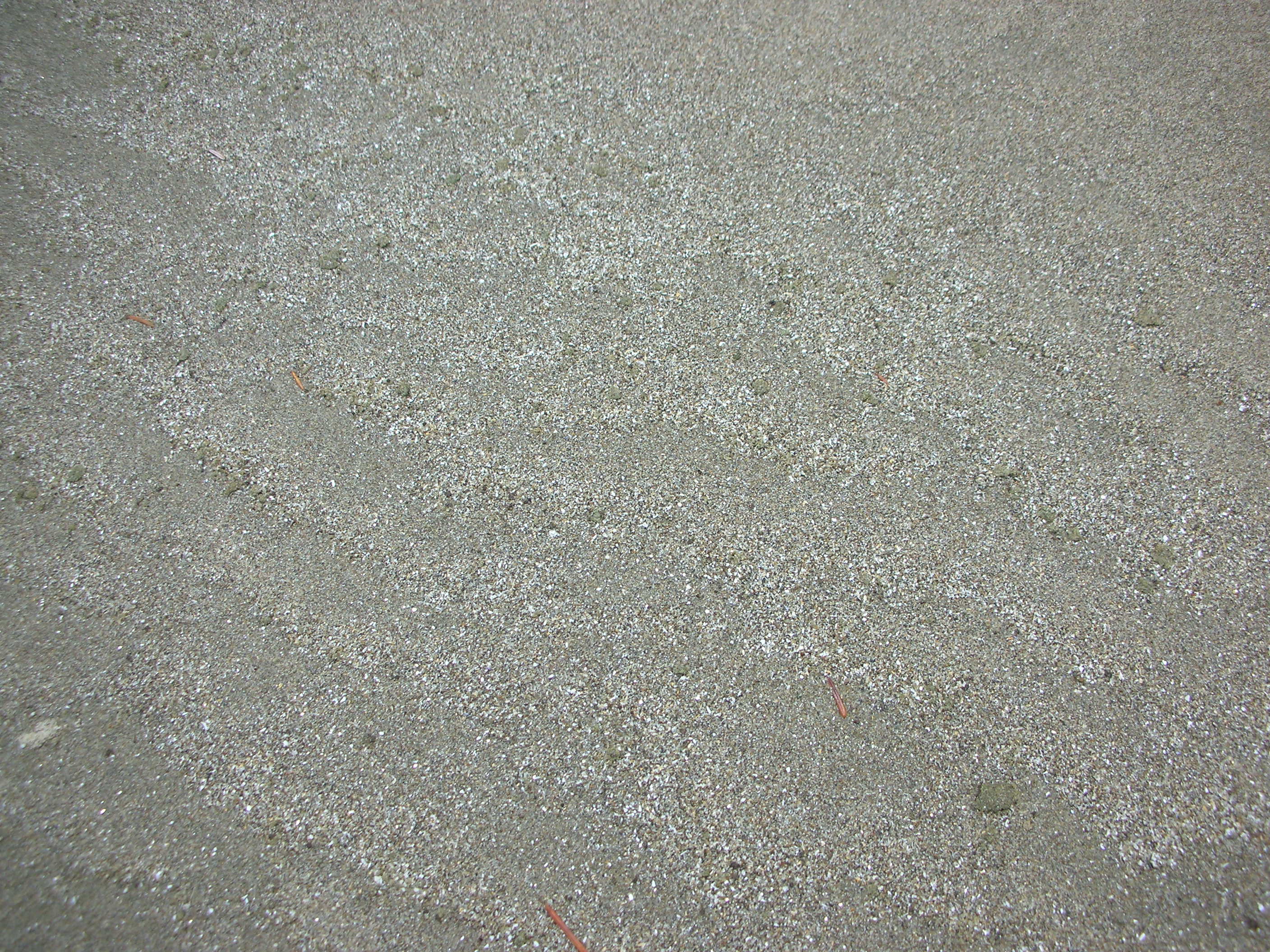 DSCN5647.JPG