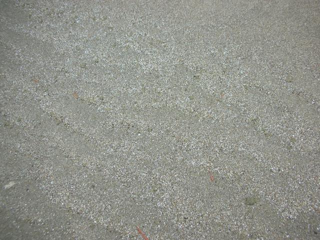 DSCN5647.JPG