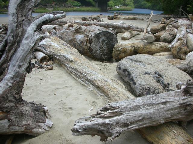 DSCN5648.JPG