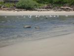 DSCN5653.JPG