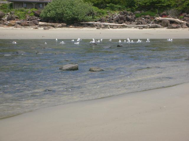 DSCN5653.JPG