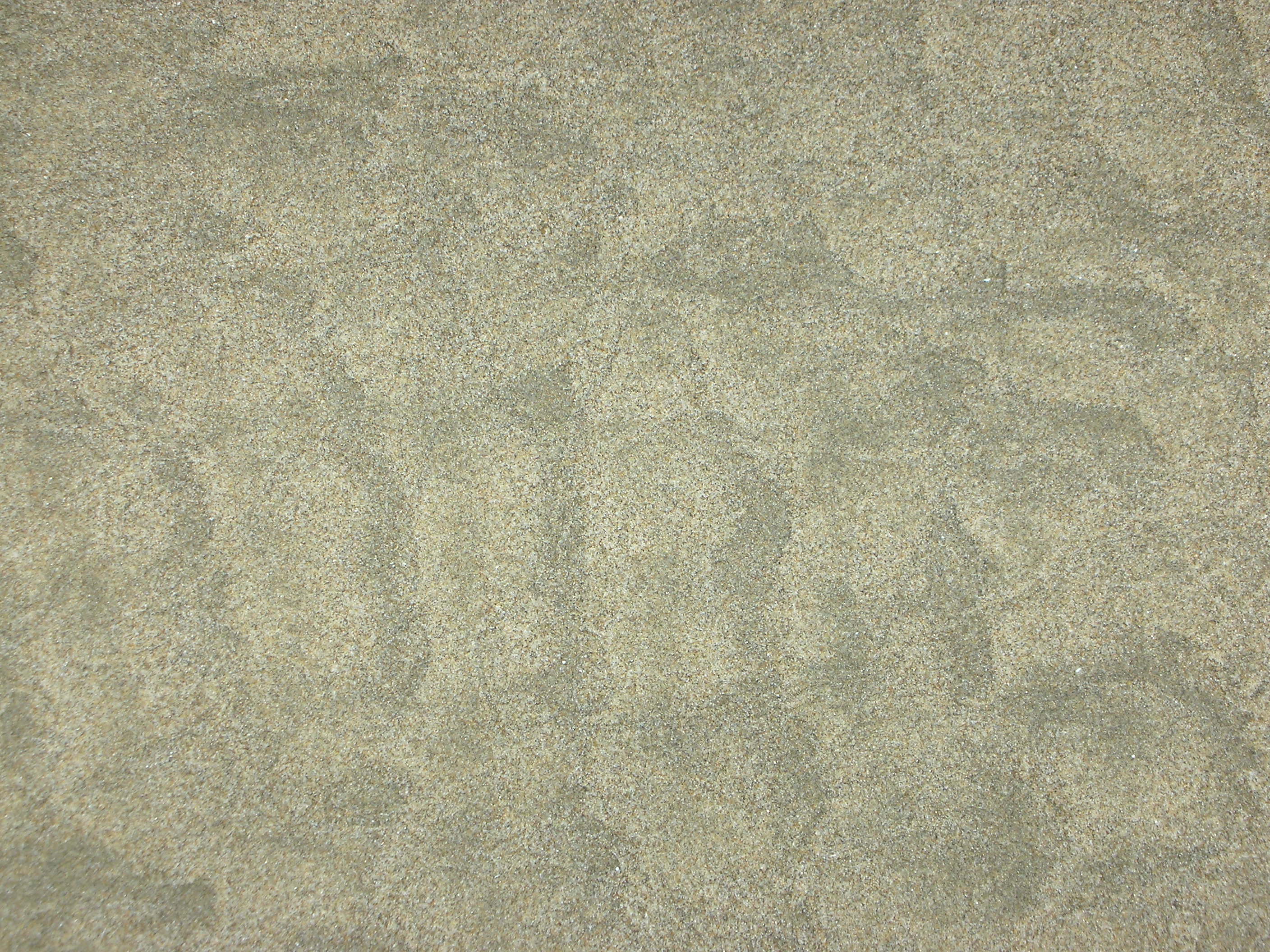 DSCN5654.JPG