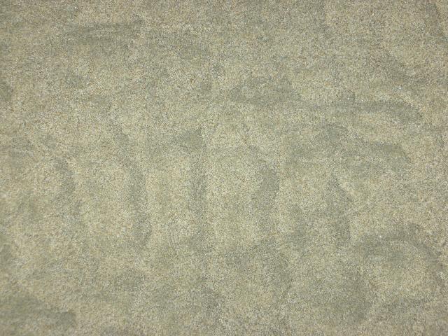 DSCN5654.JPG