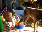 DSCN5710.JPG