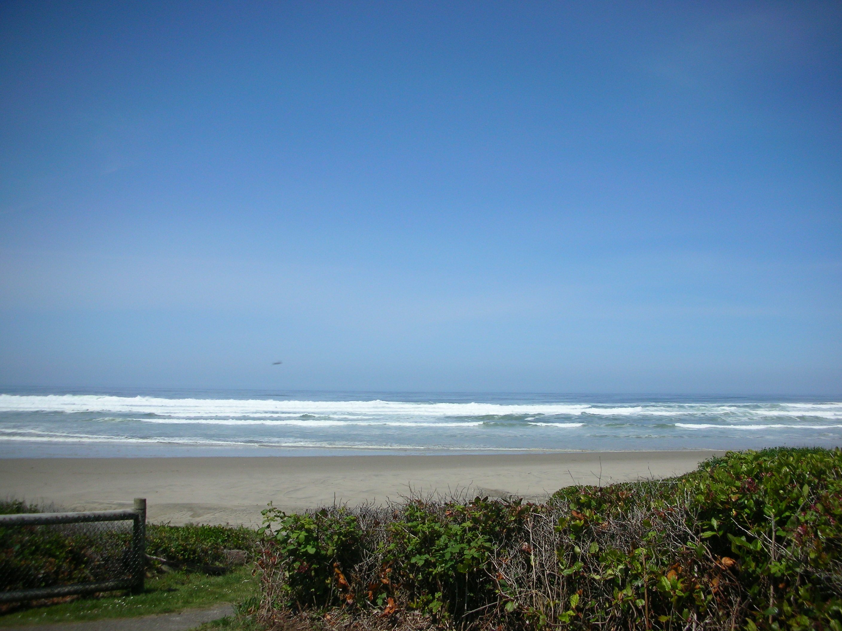 DSCN5805.JPG