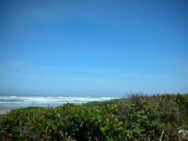 DSCN5806.JPG