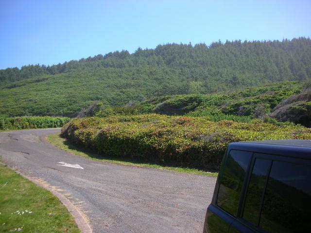 DSCN5808.JPG