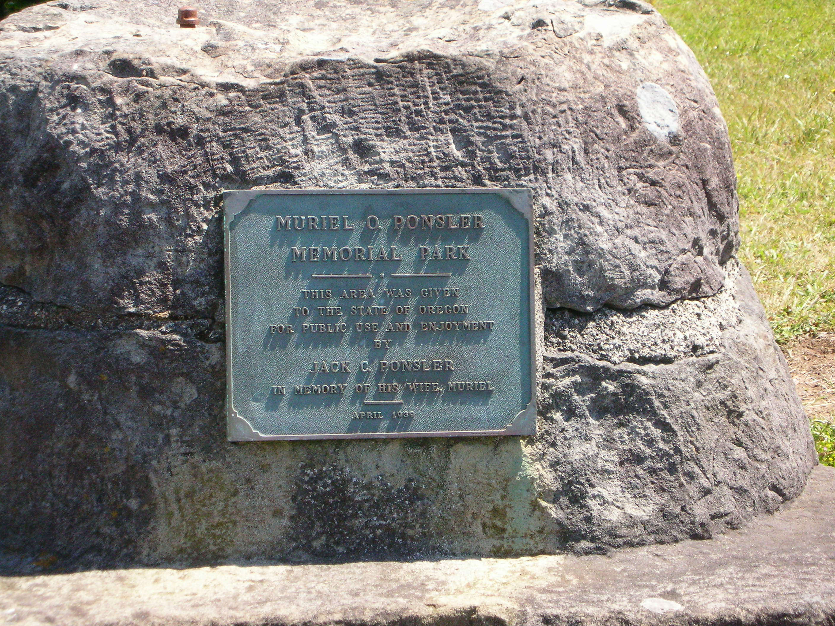 DSCN5811.JPG