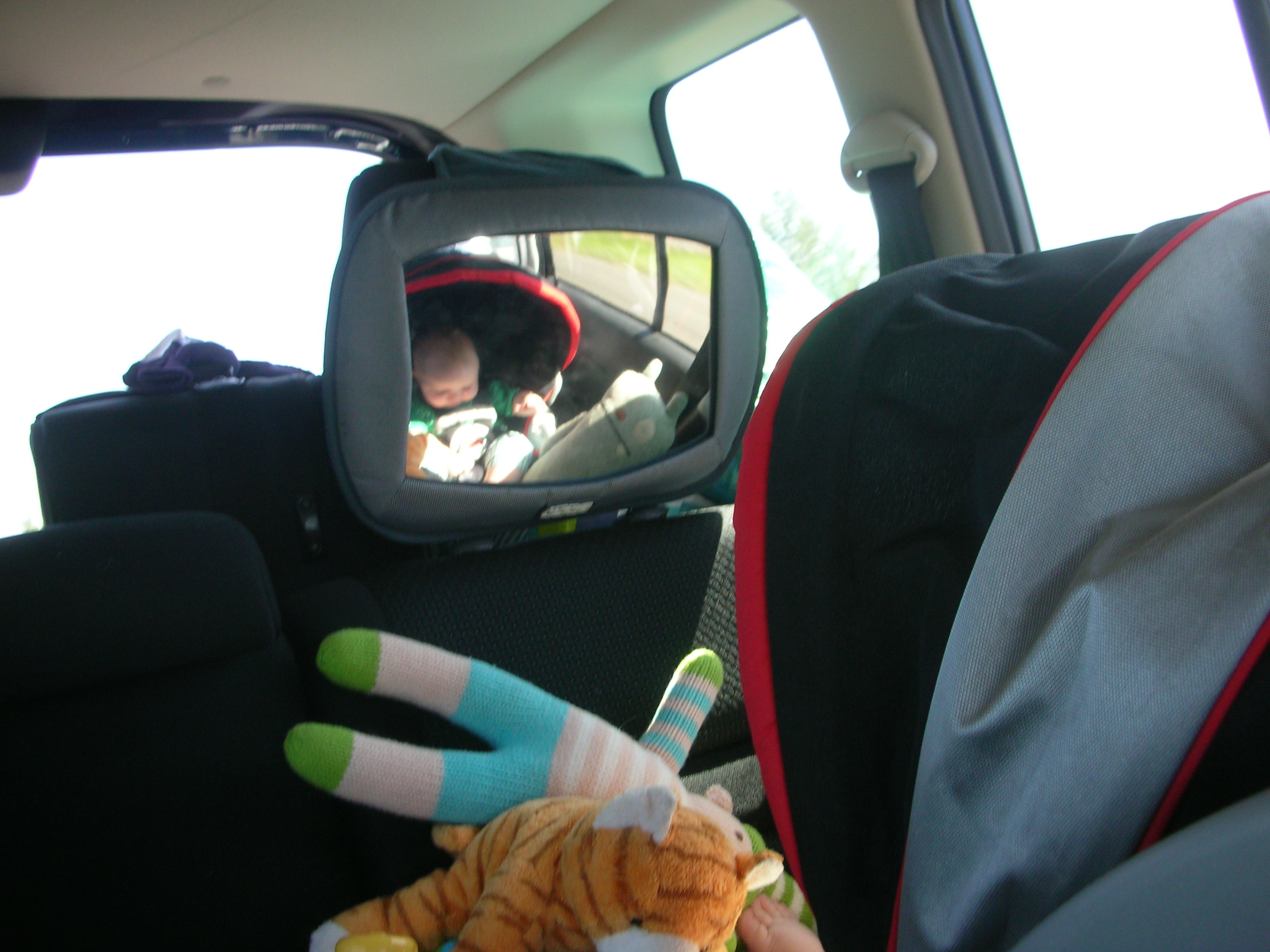 DSCN5821.JPG