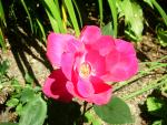 DSCN5883.JPG
