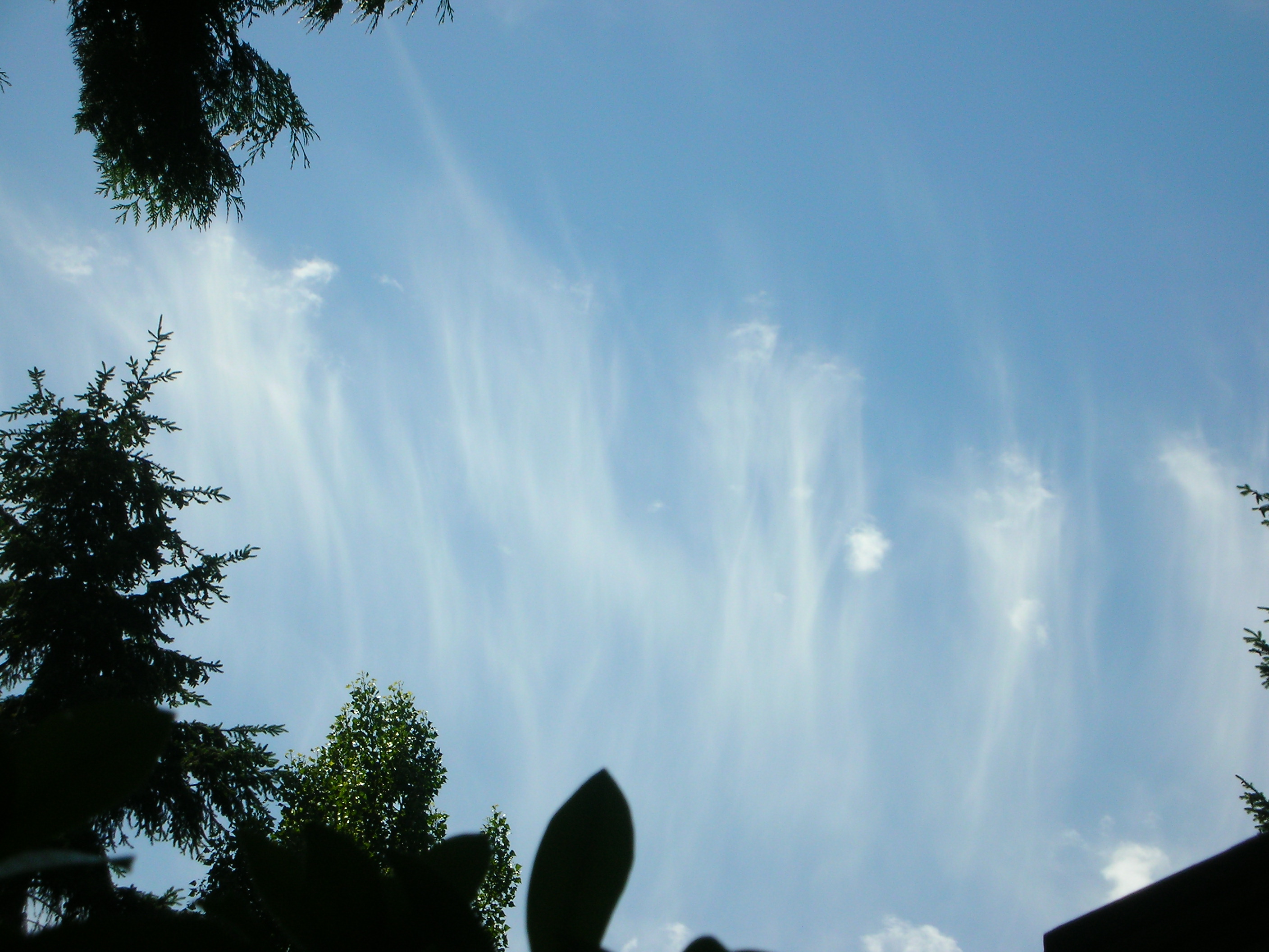 DSCN5896.JPG