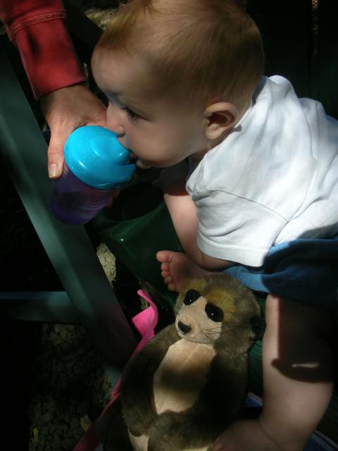 DSCN6049.JPG