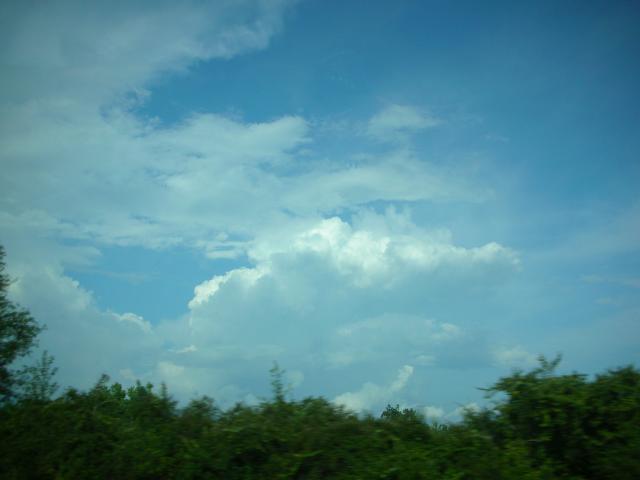 DSCN6255.JPG