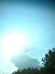 DSCN6261.JPG