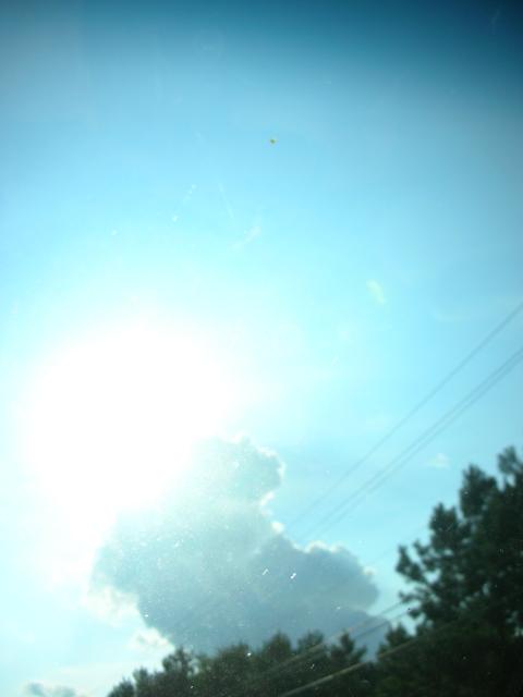 DSCN6261.JPG