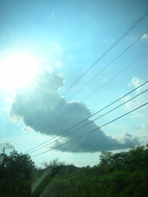 DSCN6262.JPG