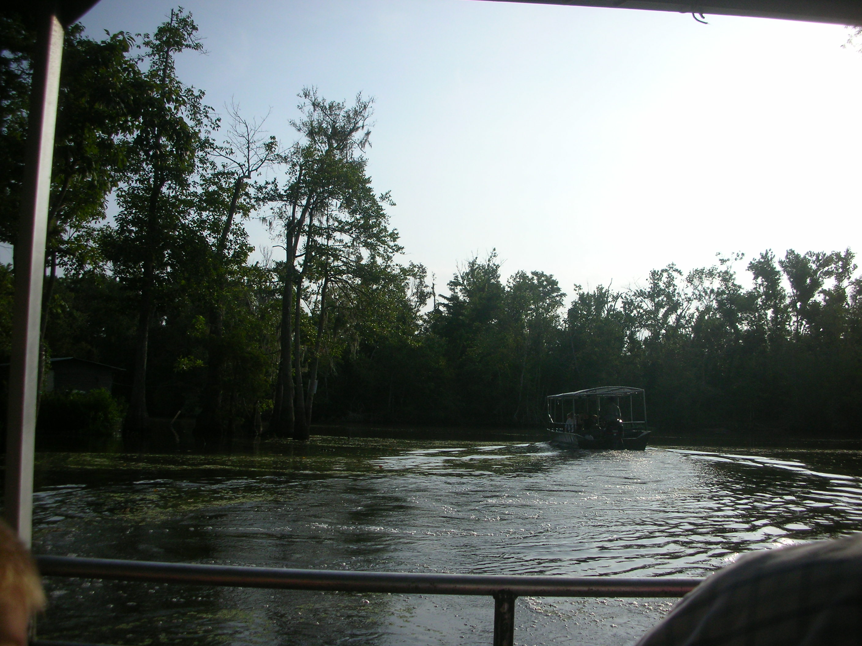 DSCN6299.JPG