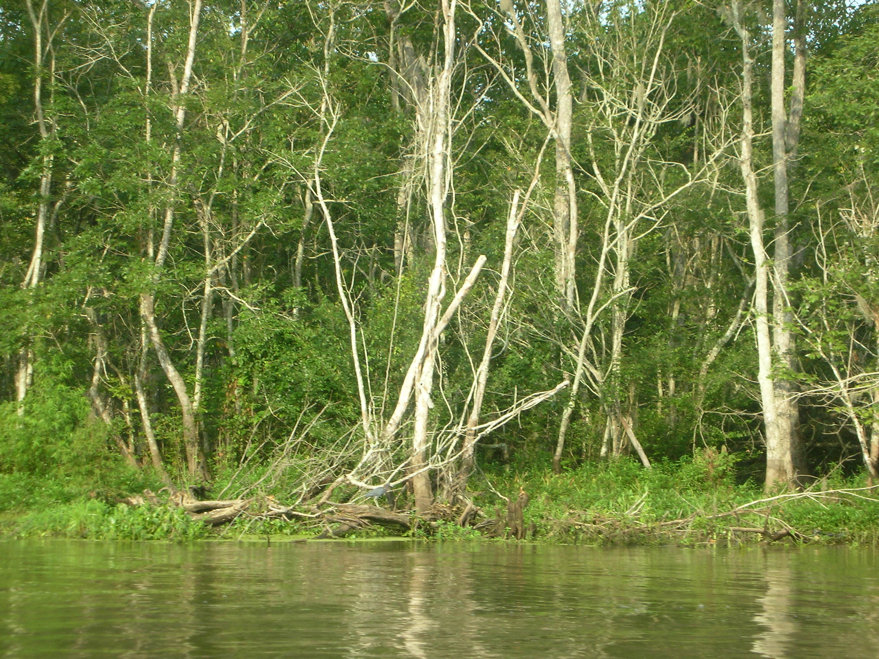 DSCN6301.JPG