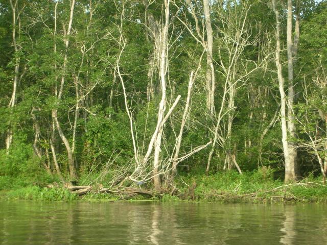 DSCN6301.JPG