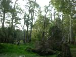 DSCN6303.JPG