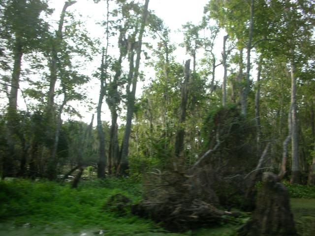 DSCN6303.JPG