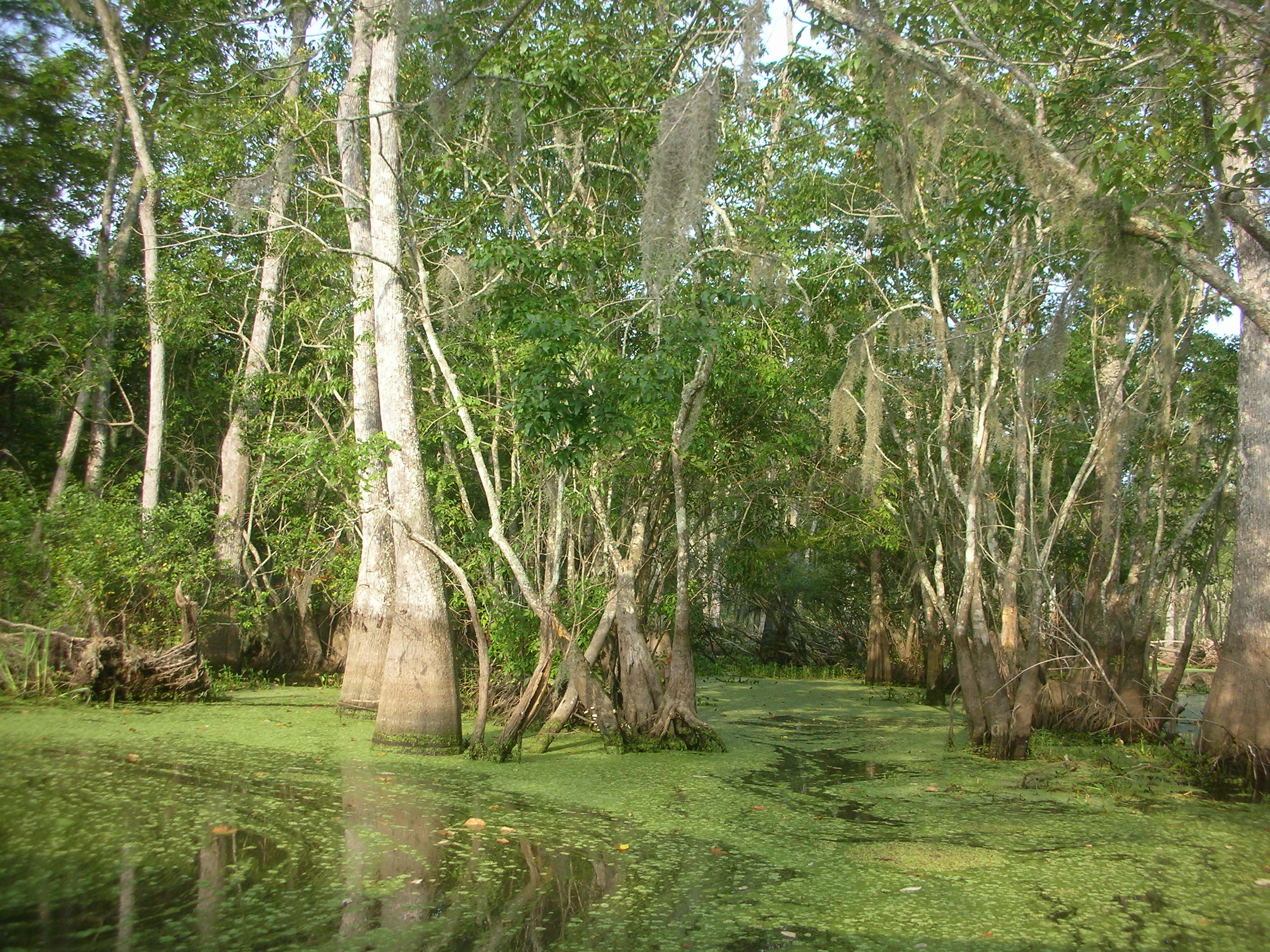 DSCN6304.JPG