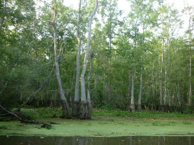 DSCN6305.JPG