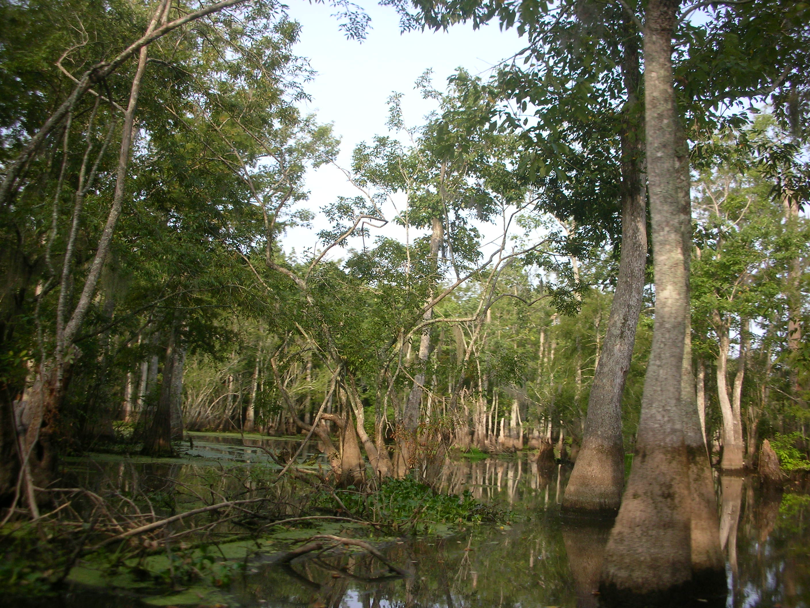 DSCN6306.JPG