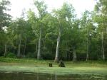 DSCN6307.JPG