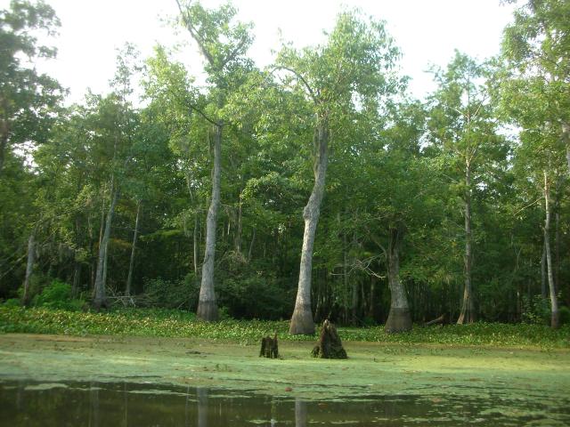 DSCN6307.JPG