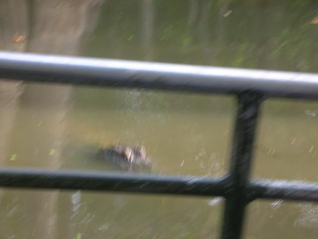 DSCN6308.JPG