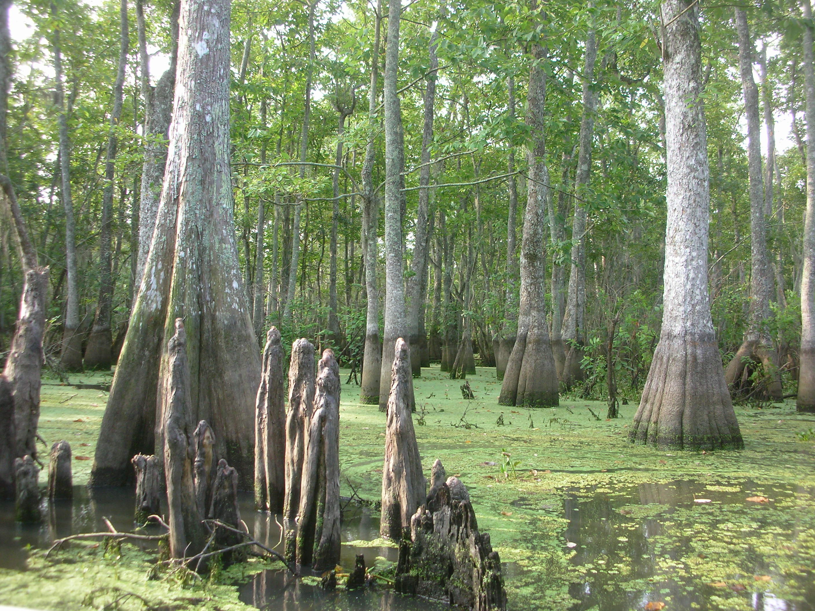 DSCN6309.JPG