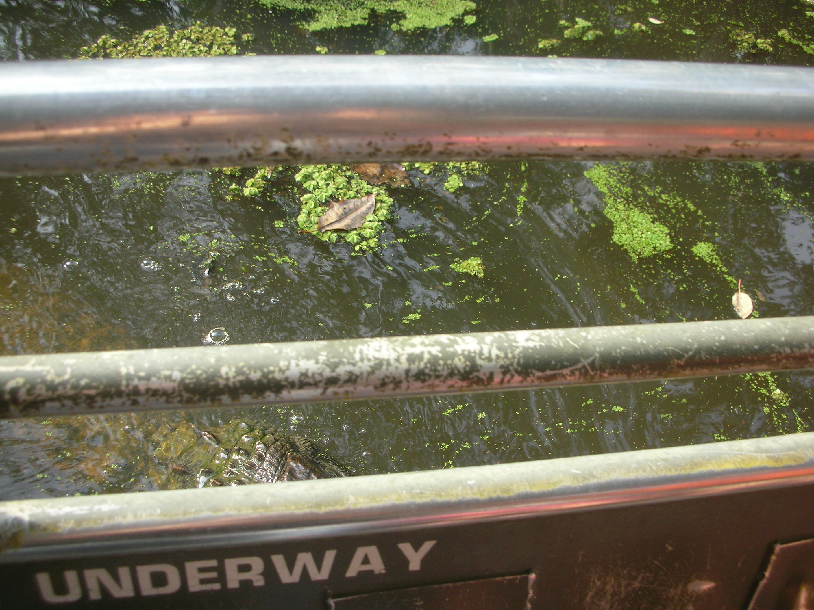 DSCN6311.JPG