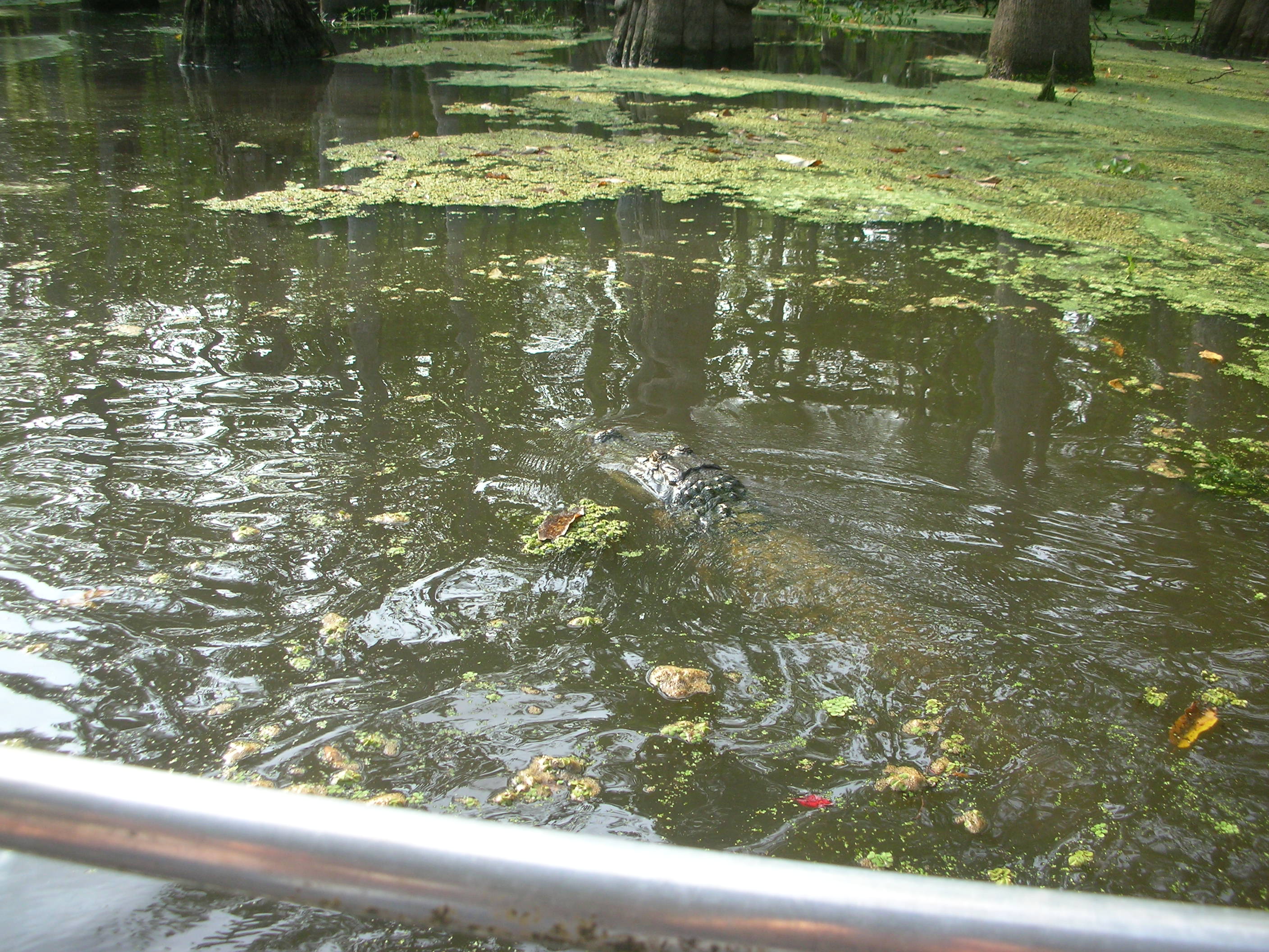 DSCN6312.JPG