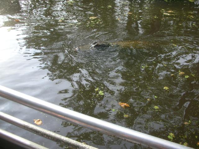DSCN6313.JPG