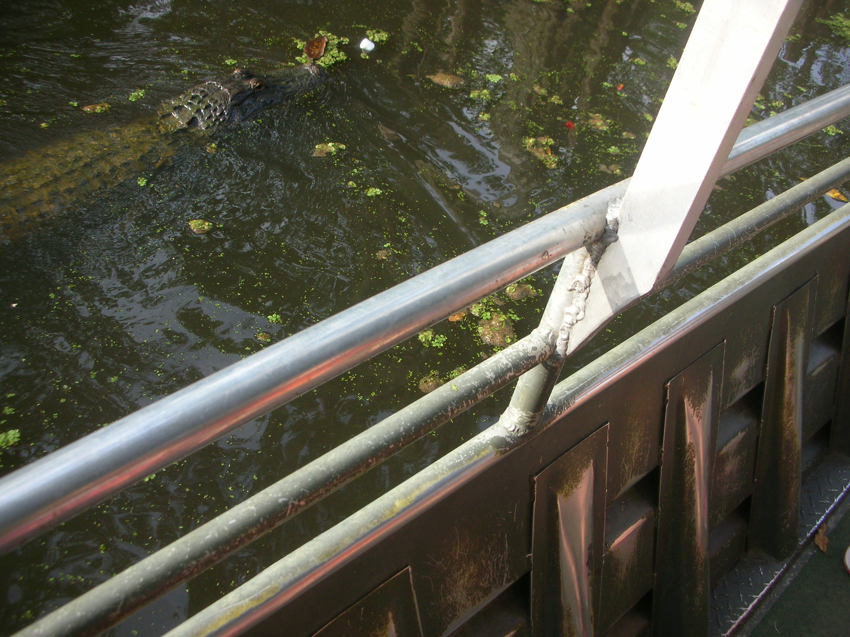 DSCN6314.JPG