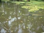 DSCN6315.JPG