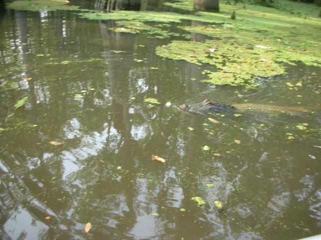 DSCN6315.JPG