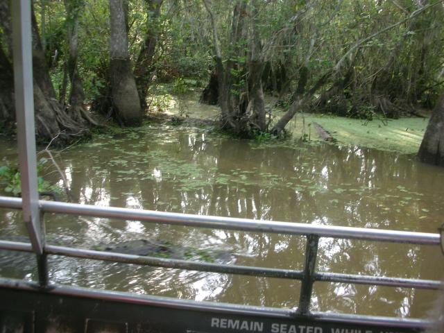 DSCN6318.JPG