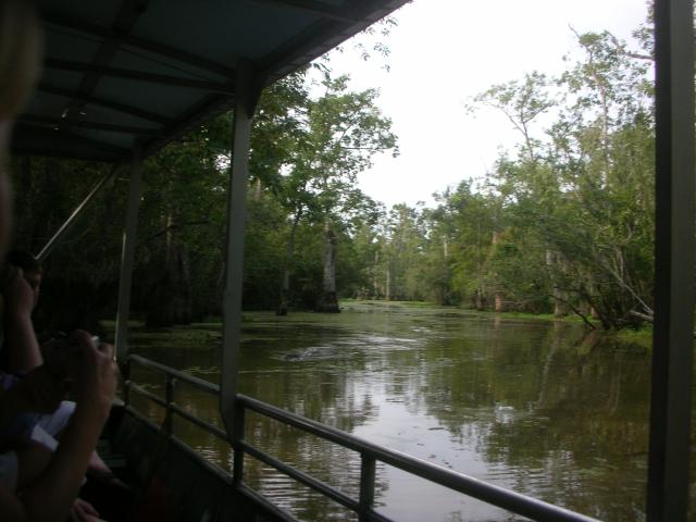 DSCN6319.JPG